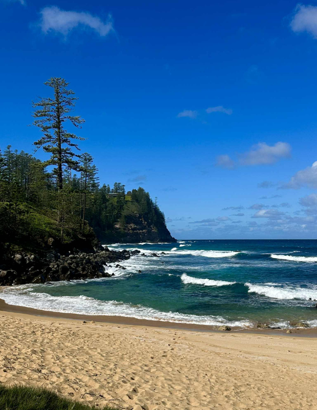 620 pixels placeholder image